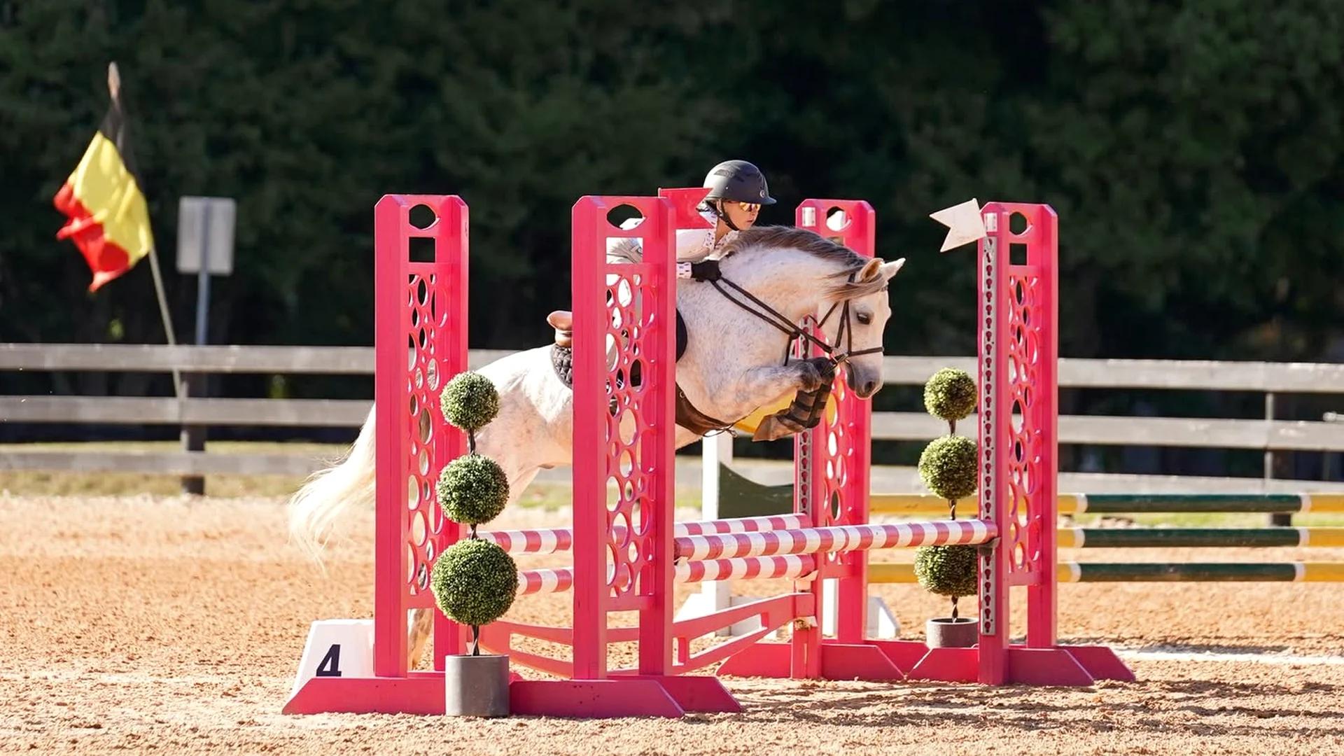 Young rider jumping a light-colored pony over a pink show-jumping fence at Shenanigan's Farm.
